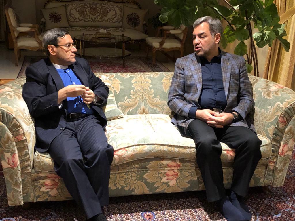 دیدار دکتر شادنوش و سفیر ایران در اسپانیا
